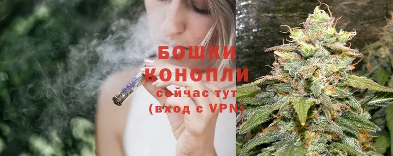 как найти закладки  Всеволожск  Каннабис SATIVA & INDICA 